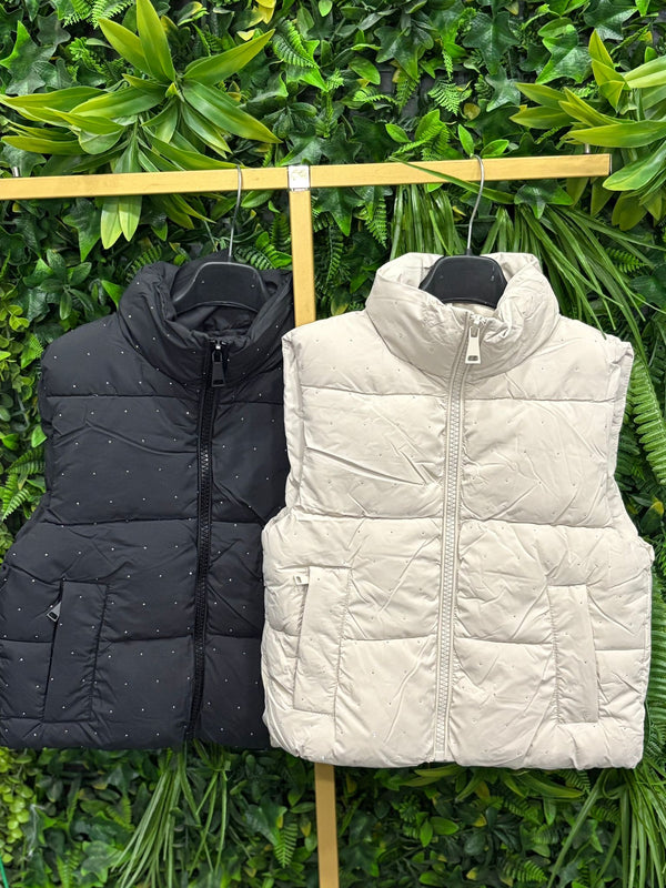 Bomber shine